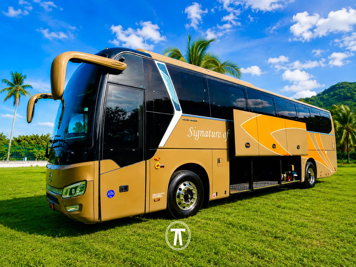 Gold Golden Dragon coach bus with JUTA certification, parked in a grassy field with palm trees and hills in Jamaica