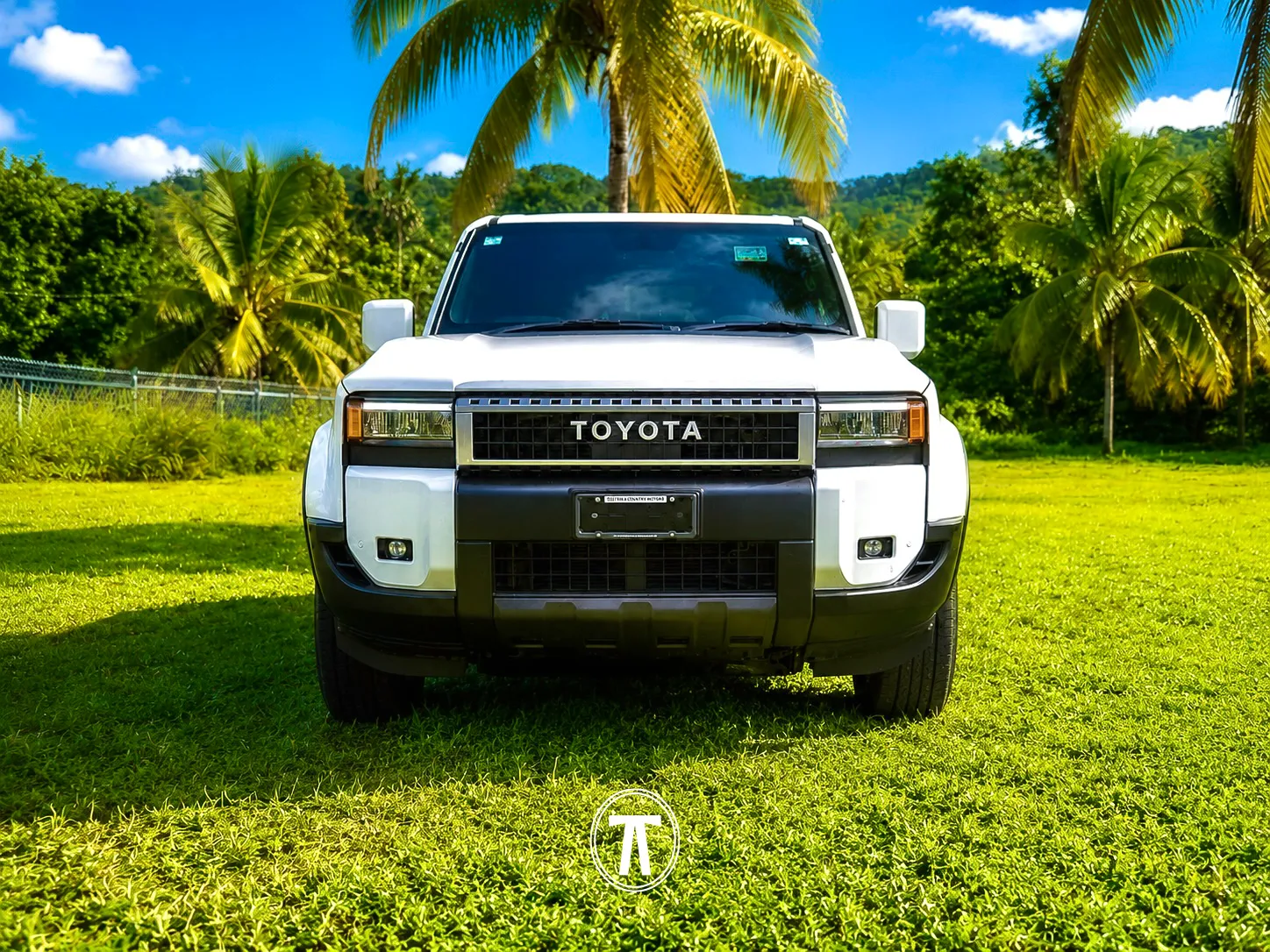 White Toyota SUV parked among palm trees with hills in the background
